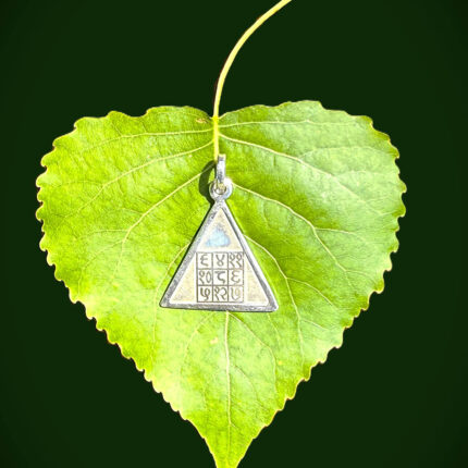 Budh Yantra resting on green leaf with dark green background