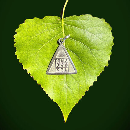Top view of Pyra Yantra silver pendant on green leaf with dark green background